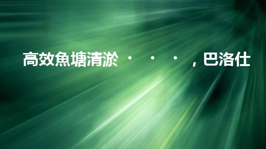 高效魚塘清淤，巴洛仕設備助力生態(tài)養(yǎng)殖